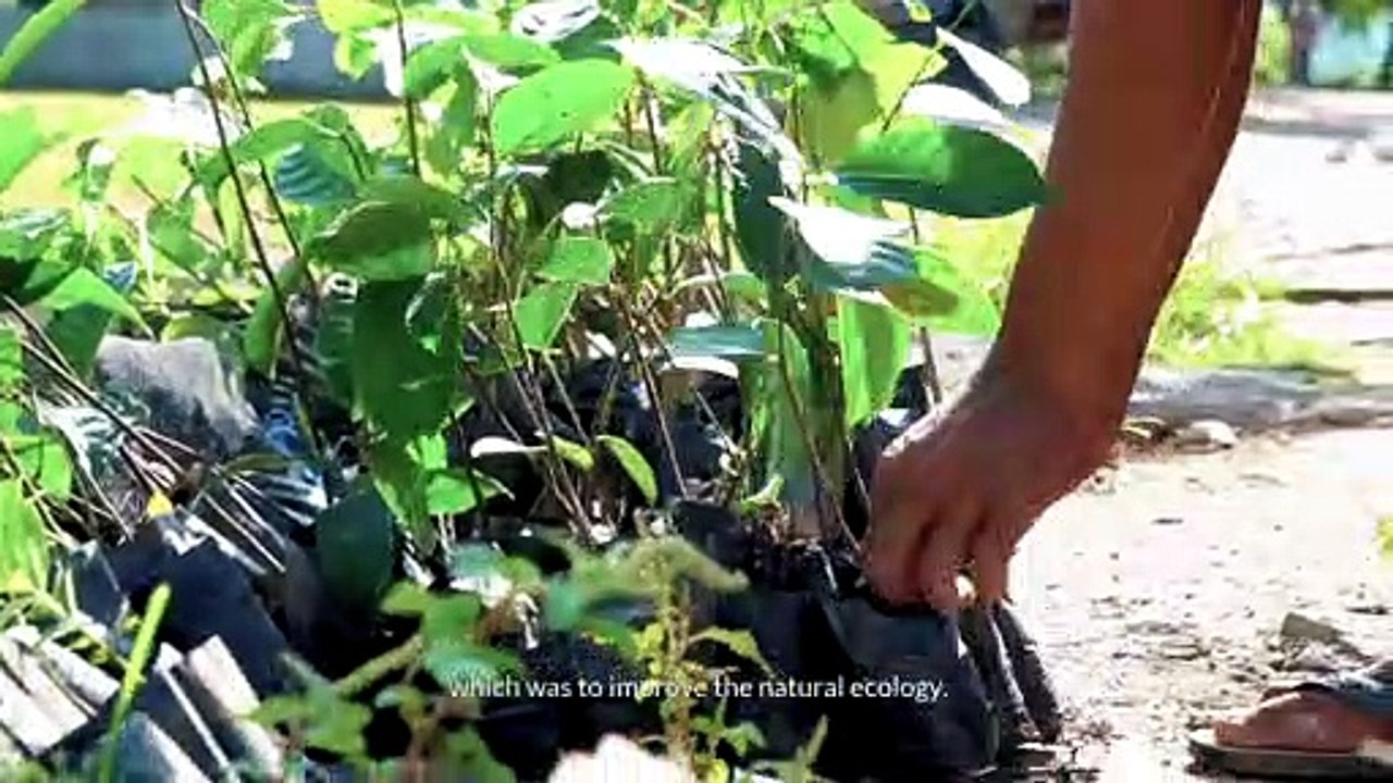 Cares | A Collaborated Reforestation Project with Gawah Bonga Foundation