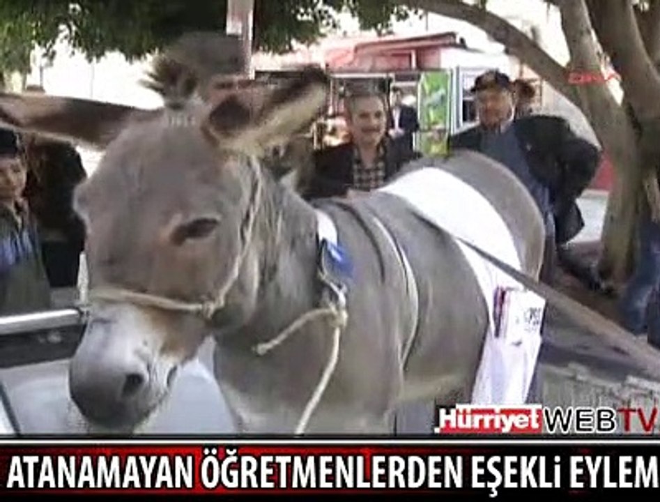 ÖĞRETMENLERDEN EŞEKLİ EYLEM