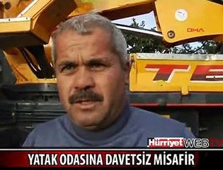 YATAK ODASINA DAVETSİZ MİSAFİR