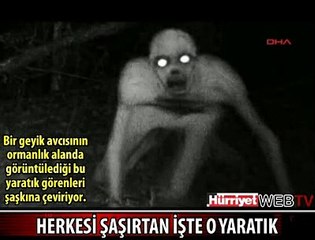 ABD BU GÖRÜNTÜYÜ KONUŞUYOR