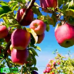 Quetta City Heart of Balochistan, Pakistan