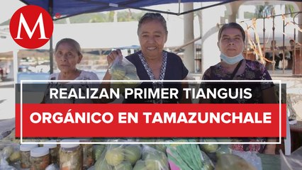 Iberdrola México realiza el primer tianguis orgánico en Tamazunchale