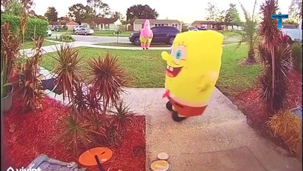 Top 45 Incredible Moments Caught On Doorbell Camera