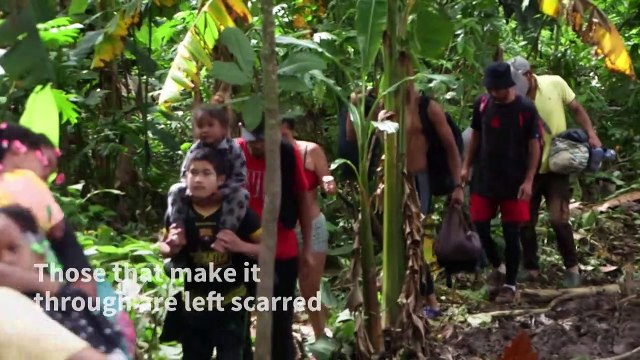 'An endless nightmare': migrants cross the Darien Gap jungle to reach US