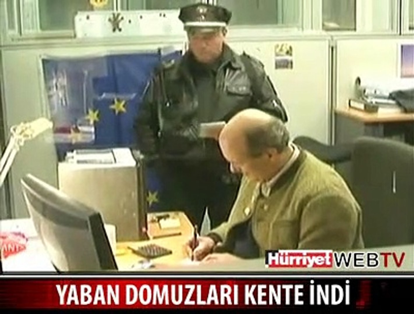 ALMANYA'DA YABAN DOMUZU UYARISI