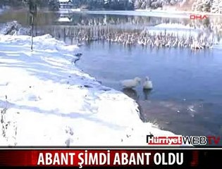 ABANT GELİNLİK GİYDİ