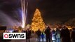 Christmas loving Brits vow to light up the UK this season despite crippling energy costs