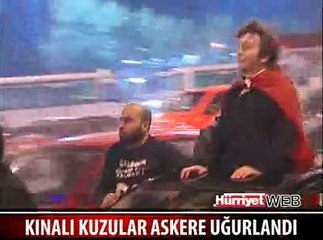 KINALI KUZULAR GİTTİ