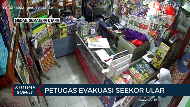 Tim Rescue Dinas Pencegahan Dan Pemadam Kebakaran Kota Medan Evakusi Seekor Ular