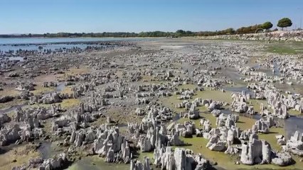 Van haberi: Kuraklık Van Gölü'nde binlerce yılda oluşan mikrobiyalitleri etkiliyor