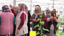 Ankara haber: Keçiören Belediye Başkanı Altınok çiftçi kadınları çiçeklerle karşıladı