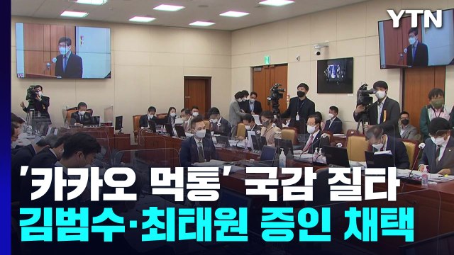 '카카오 먹통' 국감서도 질타...김범수 등 증인 채택 / YTN
