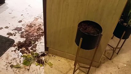 निजी चिकित्सक से मारपीट, भरतपुर में हंगामा