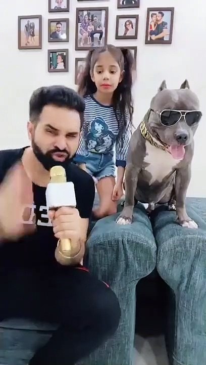 This-Dog-Brody-is-Always-Funny-shorts-Ha_107