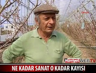 NE KADAR SANAT O KADAR KAYISI