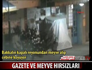 MEYVE VE GAZETE HIRSIZLARI