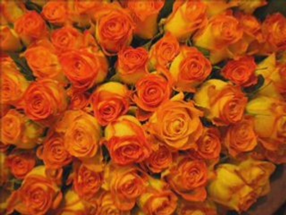 Pka Instrumental Khmer Music