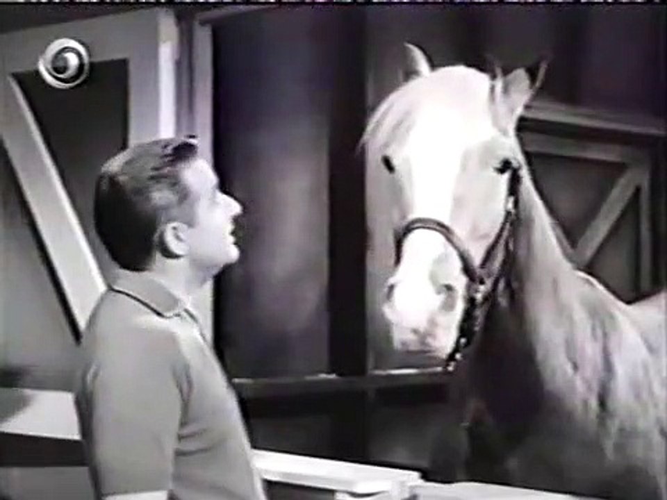 Mr. Ed Staffel 1 Folge 3 HD Deutsch