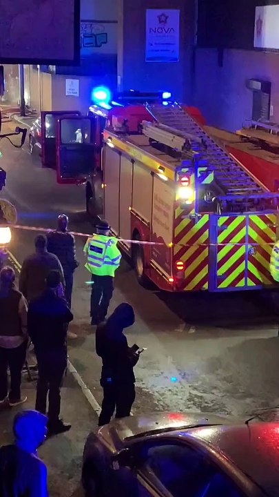 Meet the heroic dog that can sense when its epileptic owner is about to have a seizure