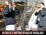 BALIĞA BAK BALIĞA