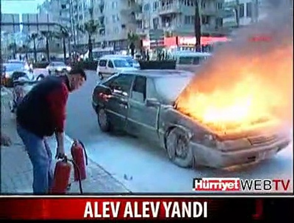 ALEV ALEV YANDI