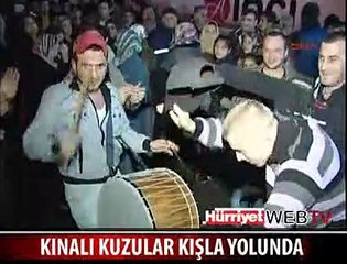 KINALI KUZULAR KIŞLA YOLUNDA