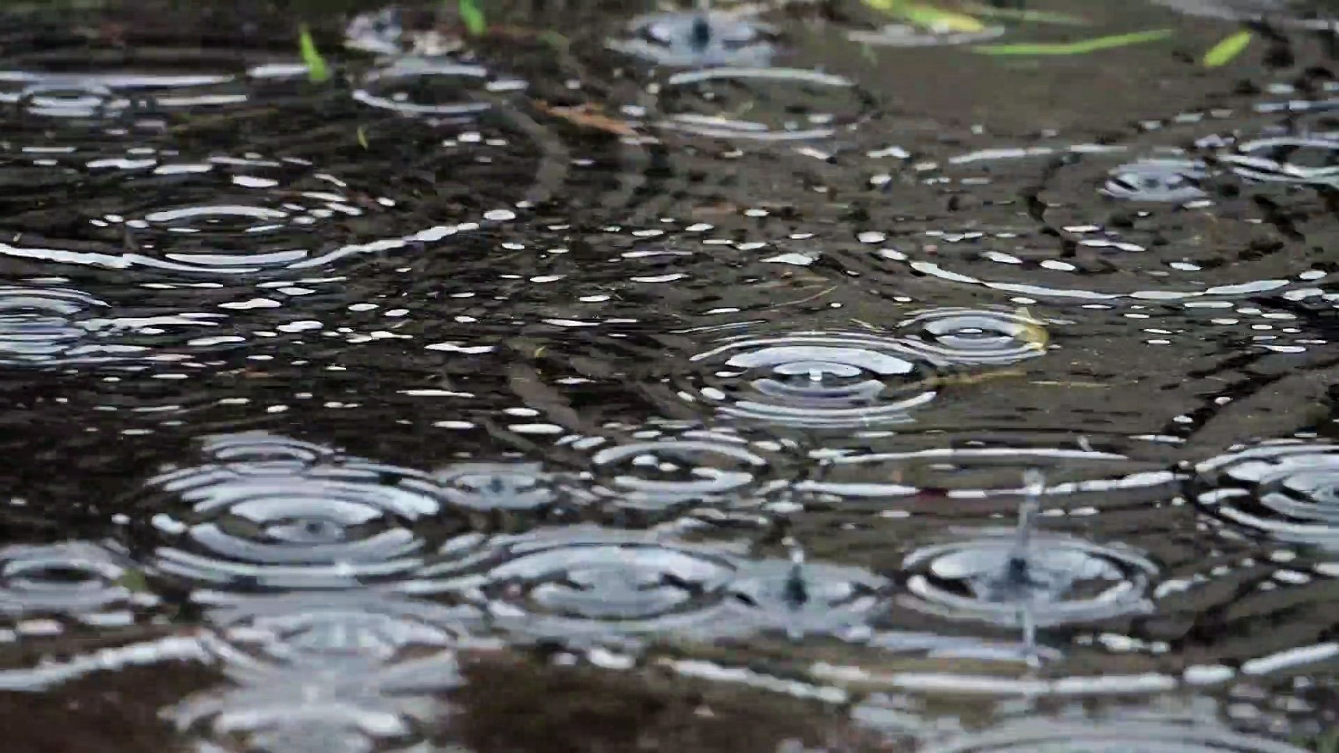 ⁣RELAKASASI SUARA HUJAN - Rain Sounds For Sleeping
