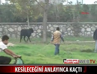 O KAÇTI VATANDAŞ KOVALADI