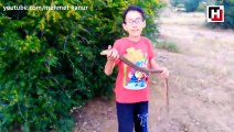 12-year-old boy becomes social phenomenon with animal videos