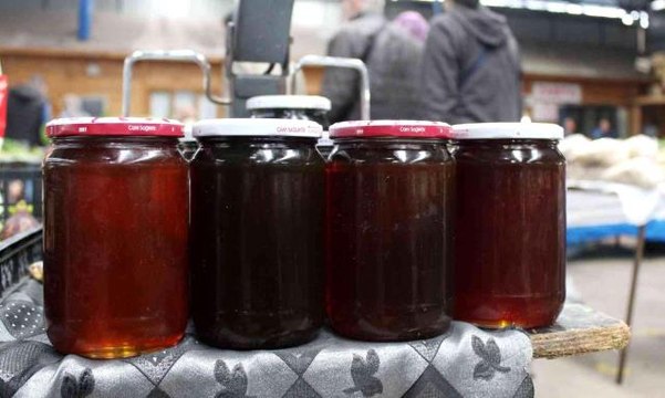 Sinop haberleri! Tescilli Sinop kestane balında verim yarıya düştü