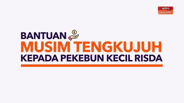 [INFOGRAFIK] Bantuan musim tengkujuh kepada pekebun kecil Risda