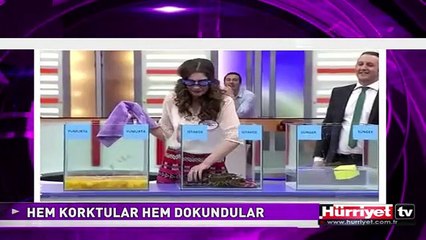 HEM KORKTULAR HEM DOKUNDULAR