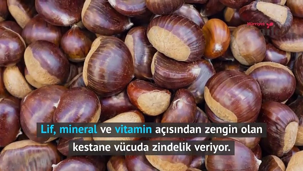 Kestane mevsimi geldi