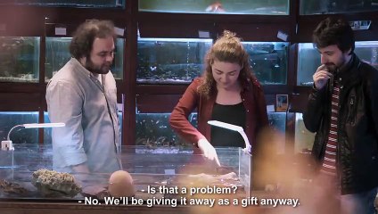 Uluslararası Af Örgütü'nden "eşcinsel kaplumbağa" deneyi