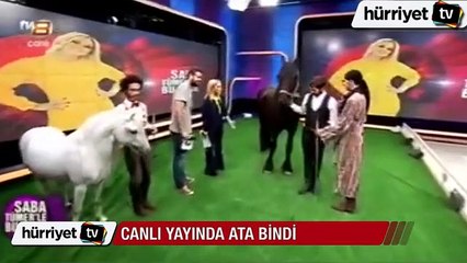 Canlı yayında ata bindi