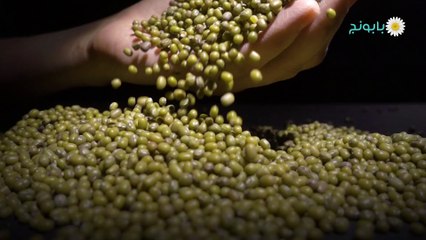 فوائد الماش والحلبة لزيادة الوزن