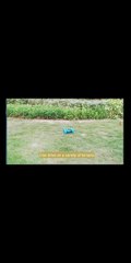 gAmazon.com- Hamdol Remote Control Car for Boys 6-12 Year Old Double Sided 360°Rotating 4WD RC Cars with Headlights 2.4GHz Electric Race Stunt Toy Car Rechargeable Toy Cars for Boys Girls Birthday (Blue&Green) - Toys & ig