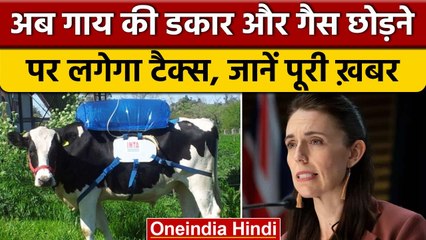 New Zealand Government ने लगा दिया गाय के गैस छोड़ने और डकारने पर Tax | वनइंडिया हिंदी |*News