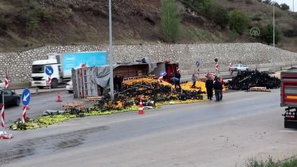 Narenciye yüklü tır devrildi, 2 kişi yaralandı