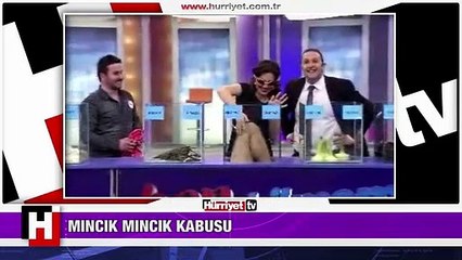 GÖRÜNCE ŞOKE OLDULAR