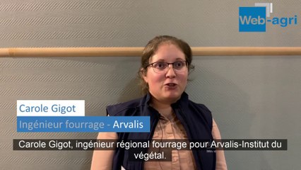 Le phosphore, facteur limitant pour les prairies en bio