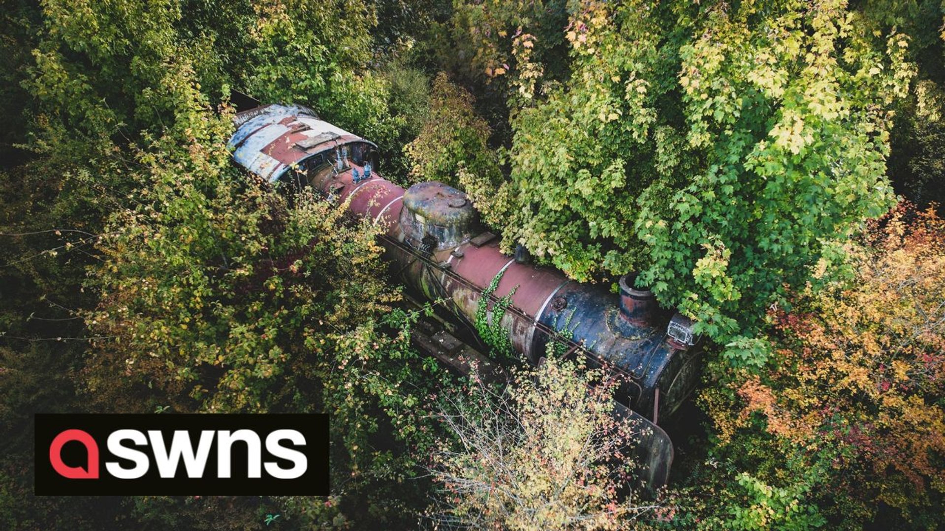 ⁣Ghostly abandoned 'Harry Potter' train found deep in Suffolk countryside