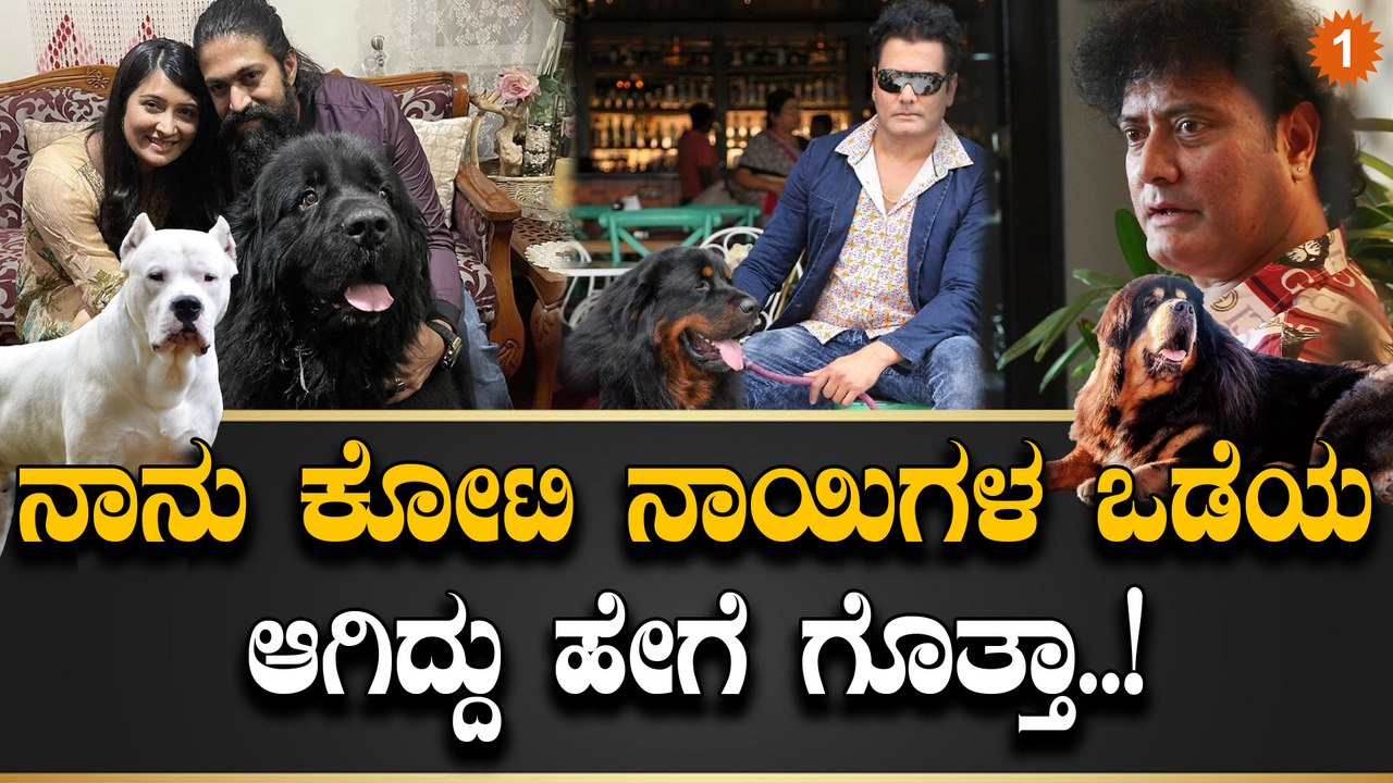 ಒಂದು ನಾಯಿ ಸತ್ತಾಗ ಒಂದು ತಿಂಗಳು ಅಳ್ತಿದ್ದೆ Satish Cadaboms | *Interview | OneIndia Kannada