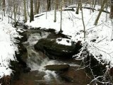 Winter Waterfall in the Snowy Forest
