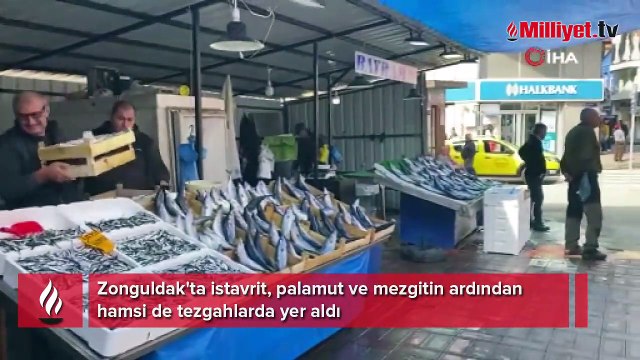 Hamsi tezgahlarda yerini aldı