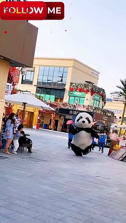 funny panda
