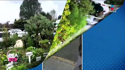 Bebé es trasladado del hospital "Belisario Domínguez" al INP