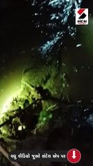 2 દિવસથી વનવિભાગના નાકે લાવી દીધો'તો દમ, આખરે મગર પકડાયો