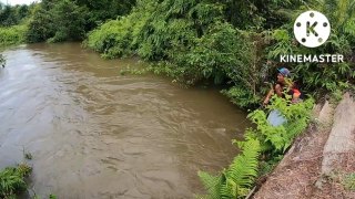 DI SUKAI PEMANCING JIKA SUNGAI SEPERTI INI!! MANCING HAMPALA DI SUNGAI KERUH