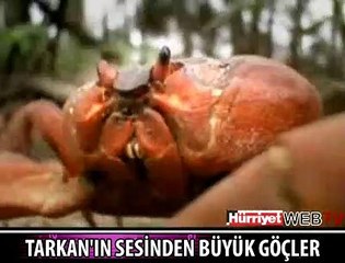 TARKAN BELGESEL SESLENDİRDİ